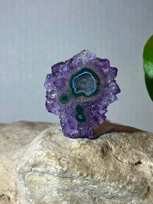 URUGUAY COLLECTION- Amethyst Stalactite Slice