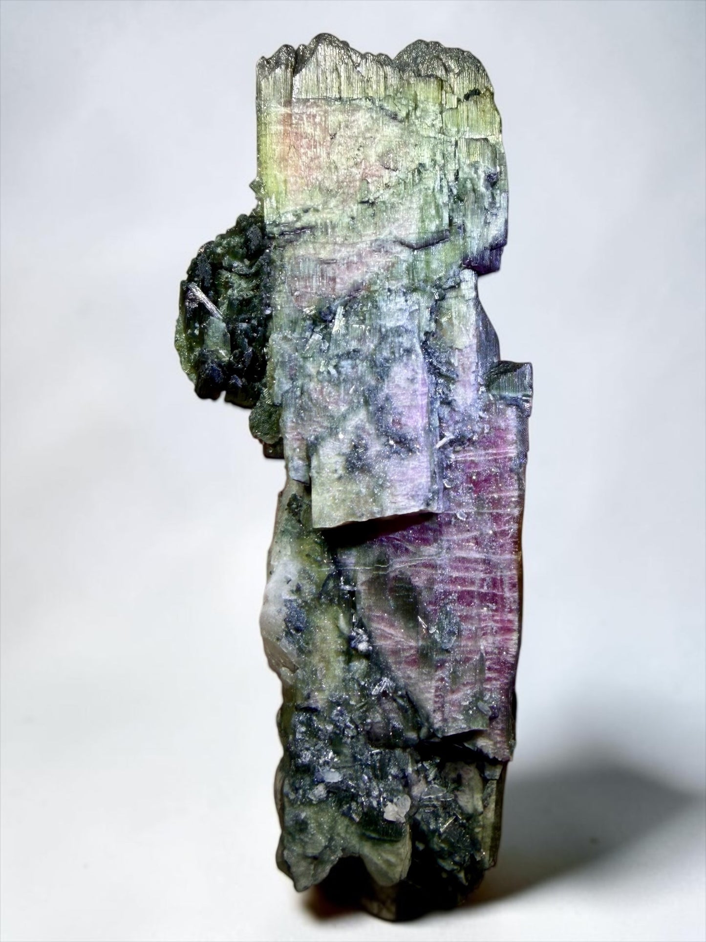 Large Double-Terminated Watermelon Tourmaline with Rare Flattened Growth- K.C.S.D. Mine, California | River Walkers Minerals