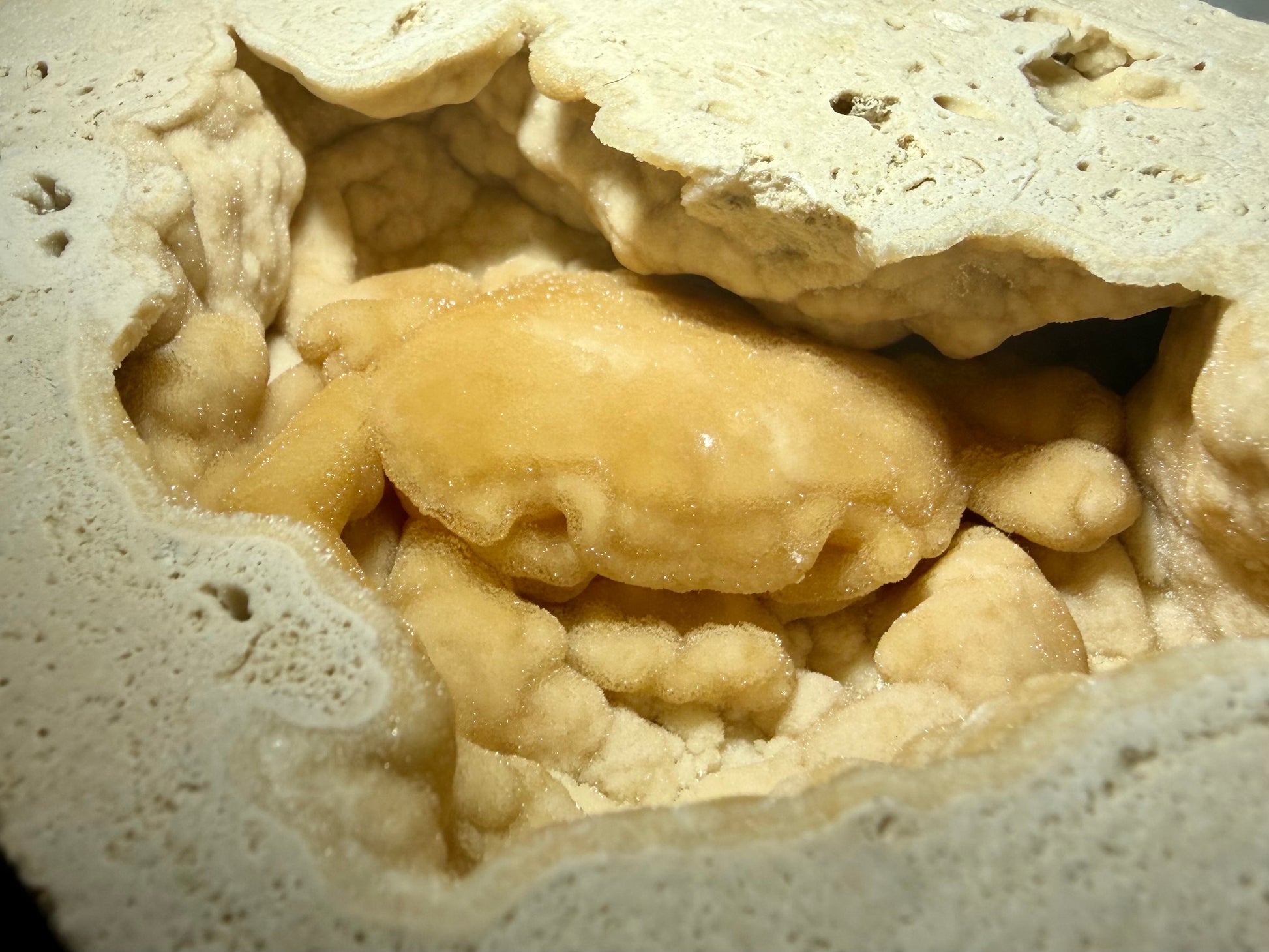 Close-up of amber-toned fossil crab surrounded by thick botryoidal travertine textures.