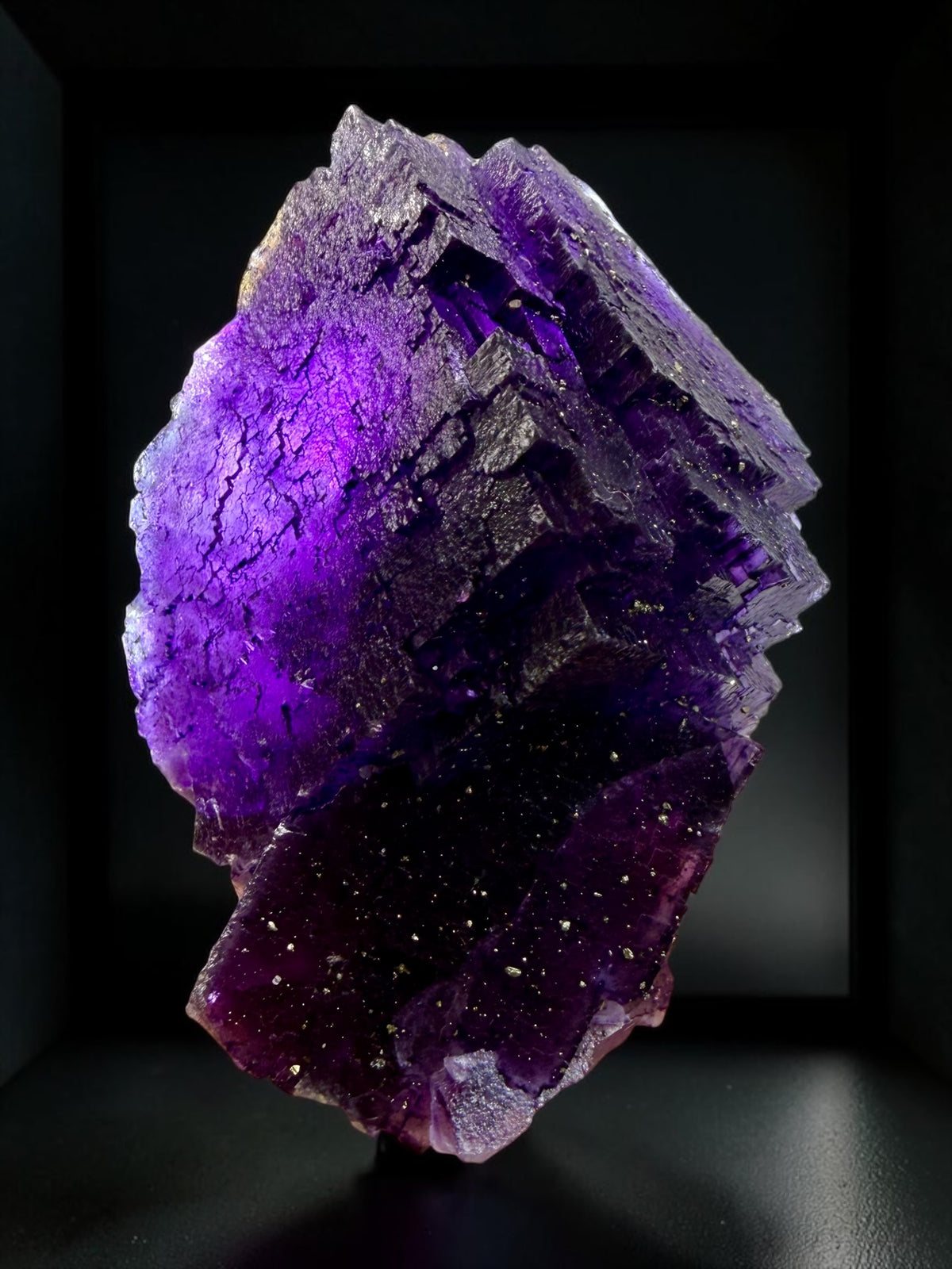 Epic Old Stock Illinois Fluorite x Chalcopyrite Ex. Walter Kellogg Collection- Denton Mine | River Walkers Minerals