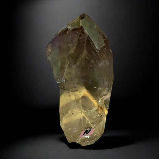 Amethyst Root with UV Reactive Phantoms (Possible Powellite- Pending Lab Results) 2/18
