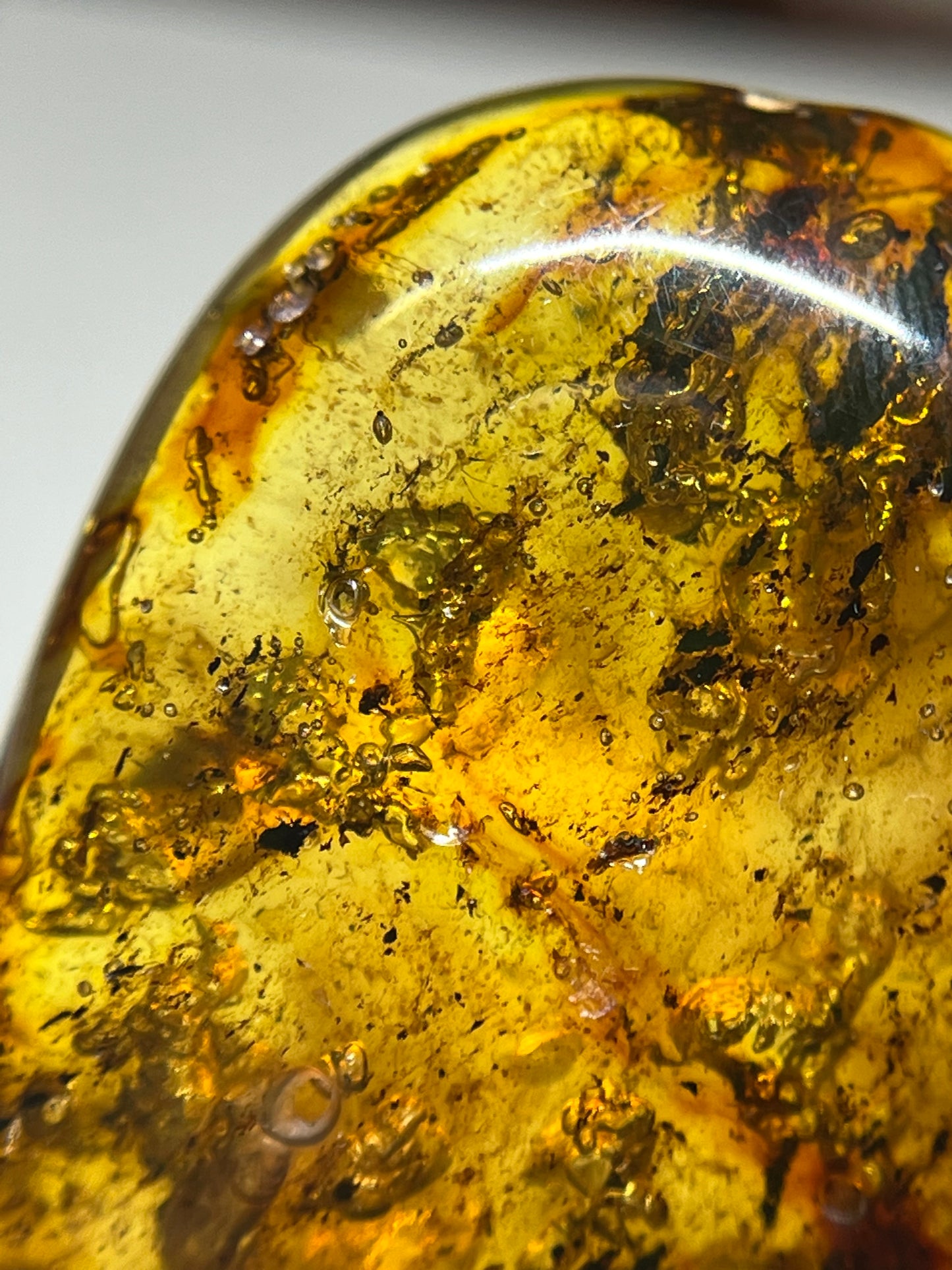 Colombian Amber with Plants (A1)