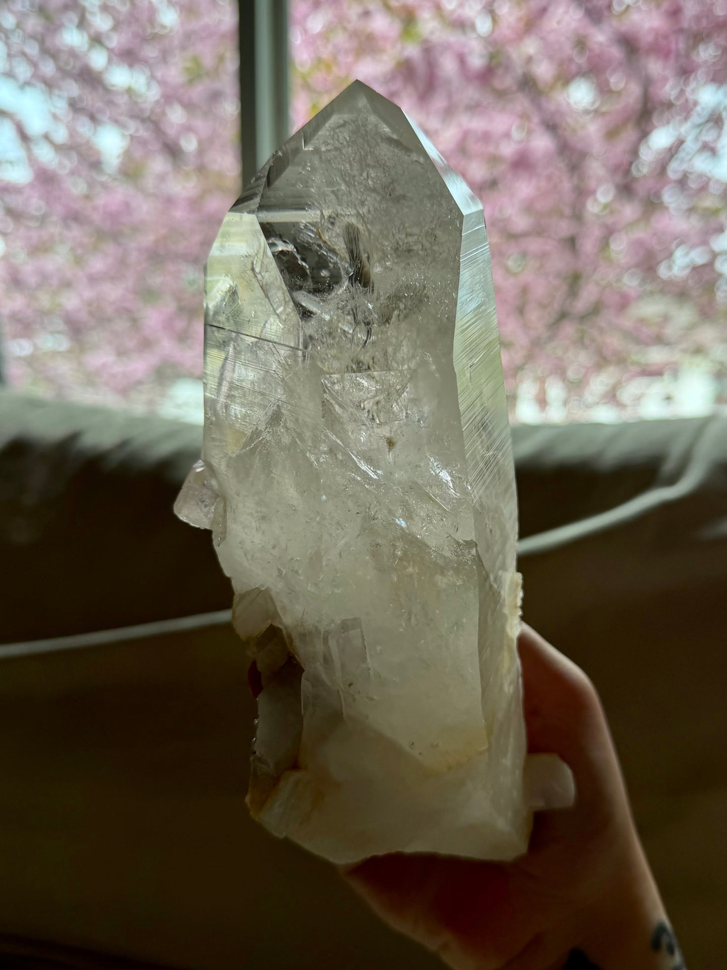 XL Quartz Point- Peña Blanca | River Walkers Minerals