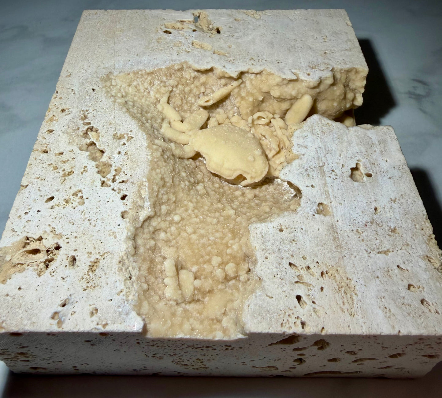 Travertine matrix framing the fossil crab in high relief.
