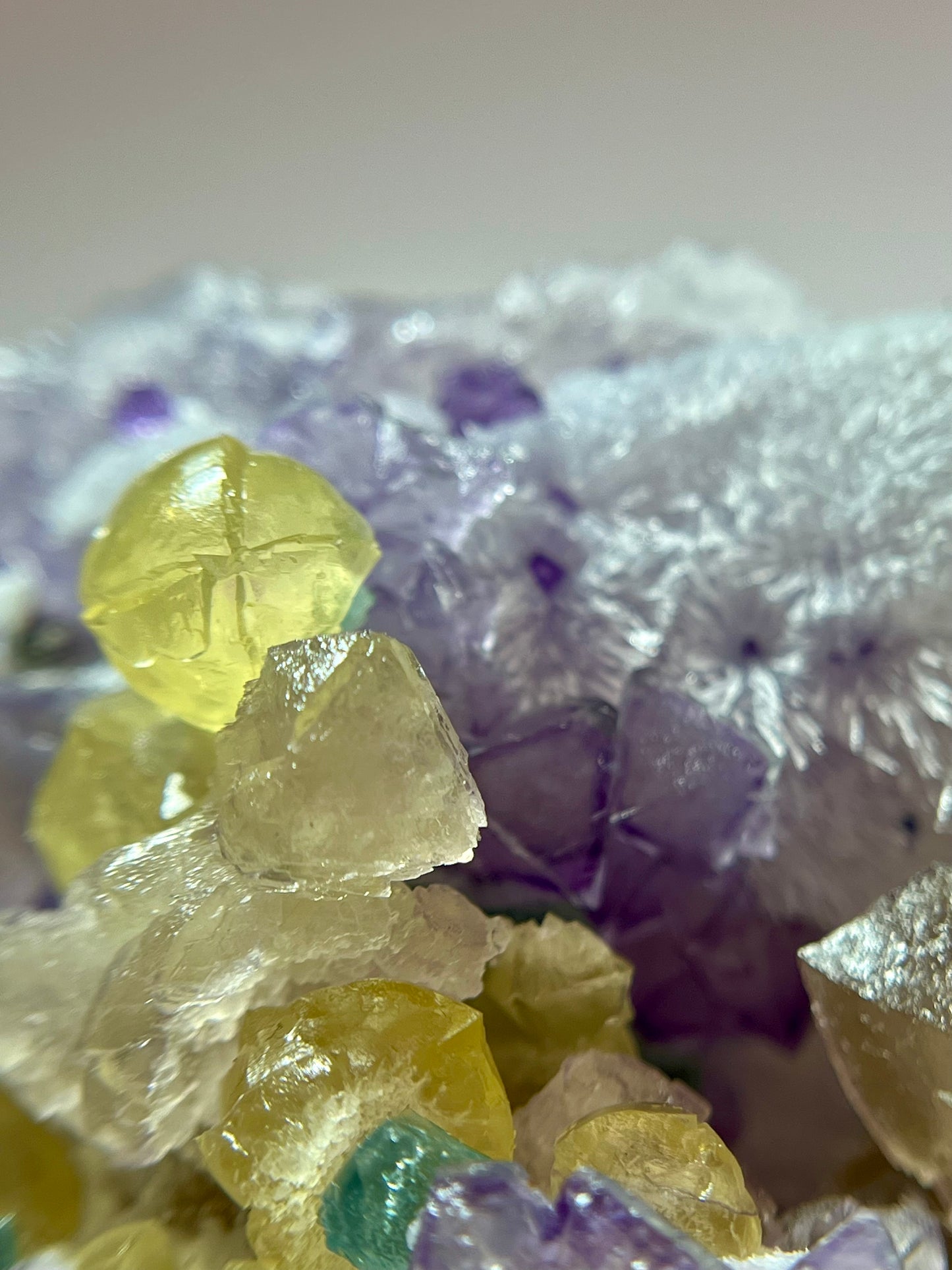 “Willy Wonka” Fluorite 4+ Generational Growth