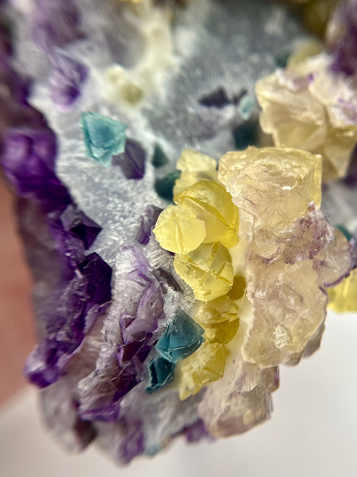 “Willy Wonka” Fluorite 4+ Generational Growth DOUBLE-SIDED