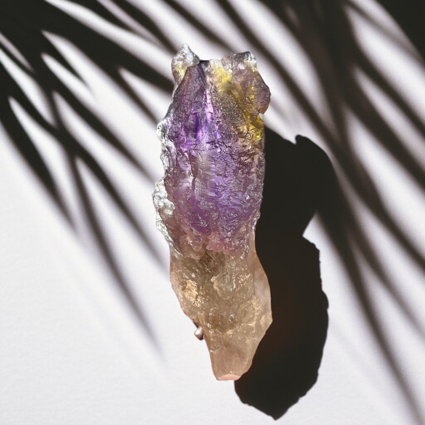 𝐓𝐡𝐞 𝐀𝐦𝐞𝐭𝐡𝐲𝐬𝐭 𝐀𝐫𝐜𝐡𝐢𝐯𝐞 | Hydrothermally Etched Bolivian Ametrine