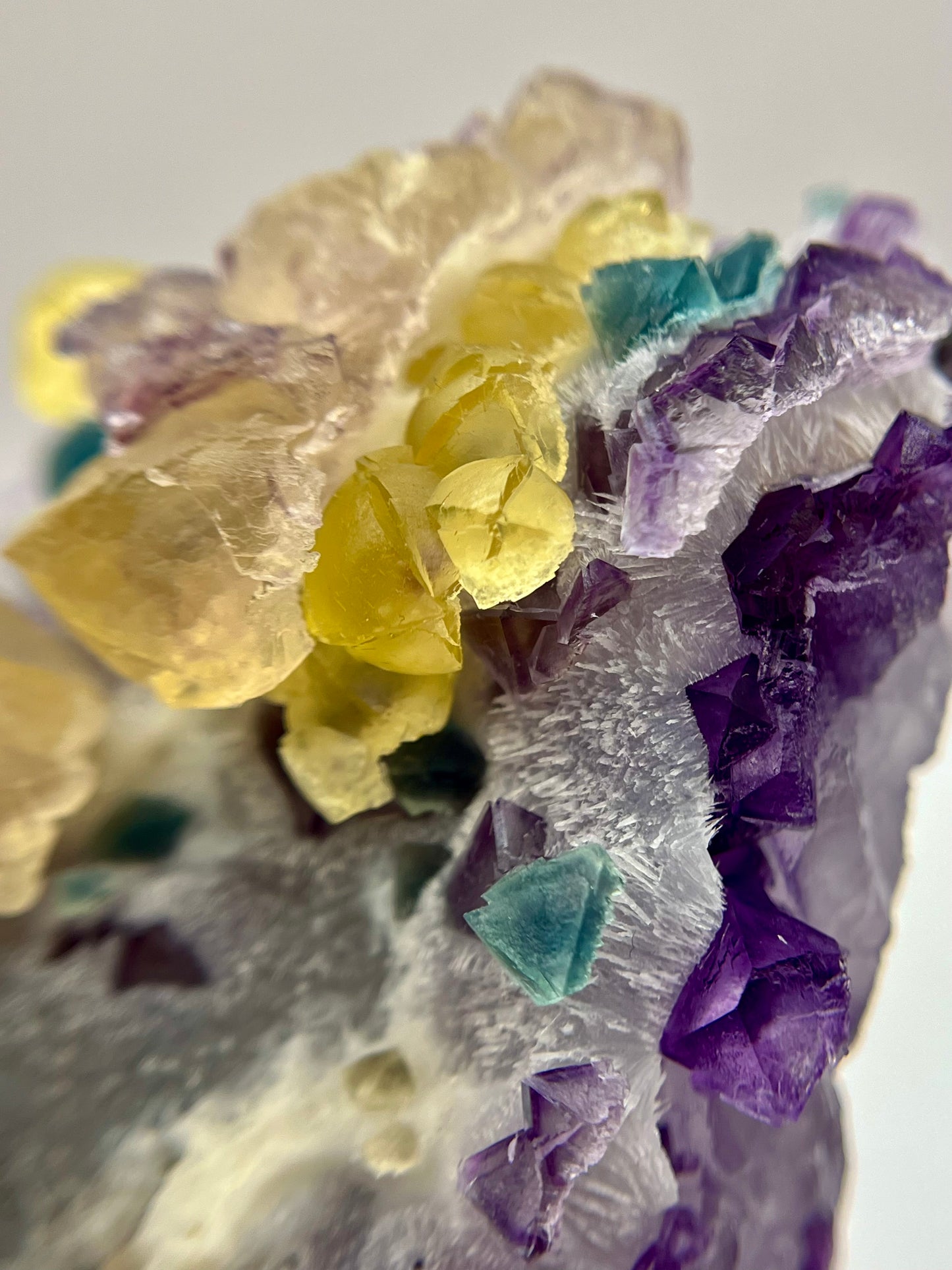 “Willy Wonka” Fluorite 4+ Generational Growth DOUBLE-SIDED