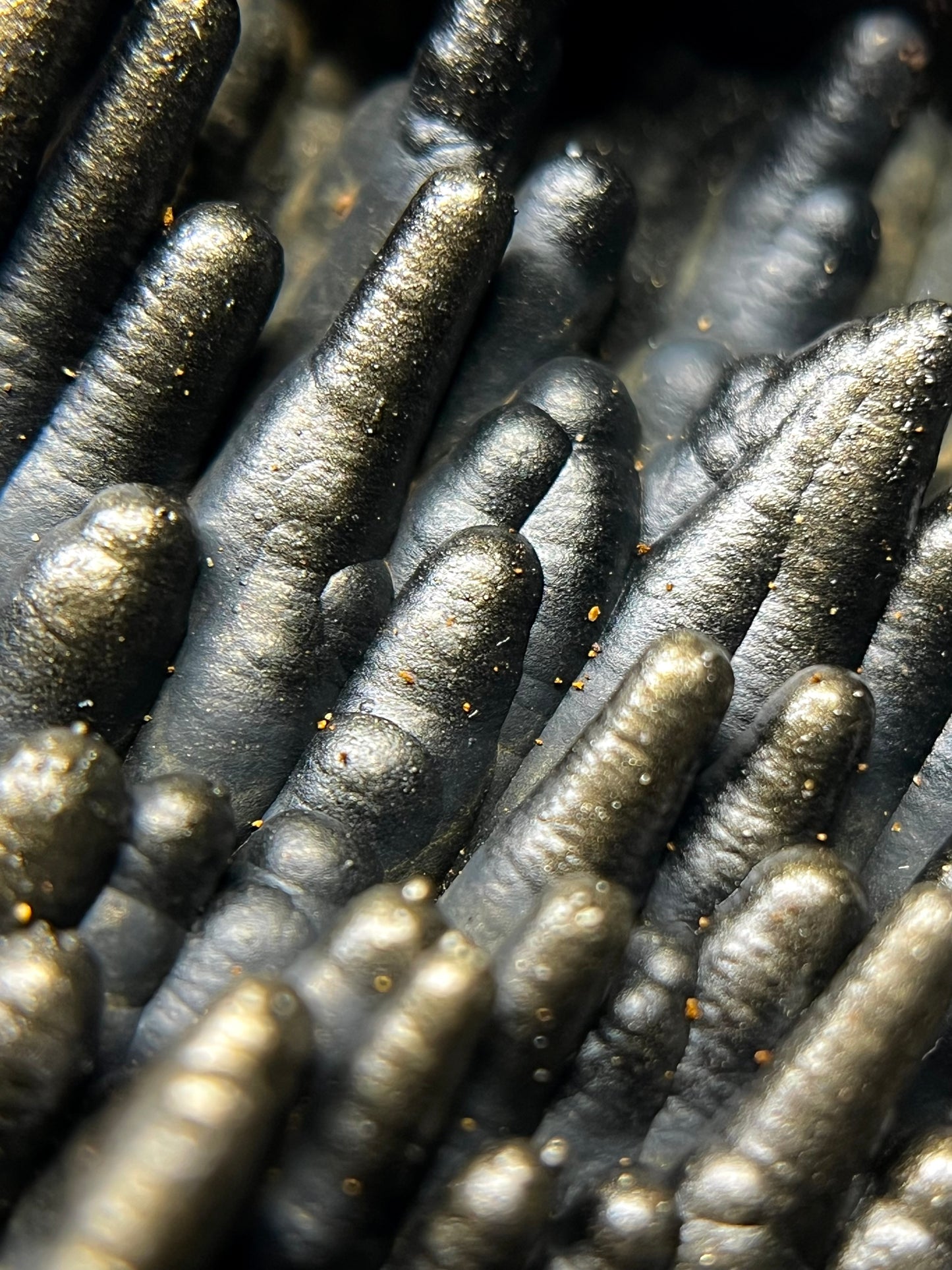 Golden Metallic Goethite Stalactites (A) *RARE