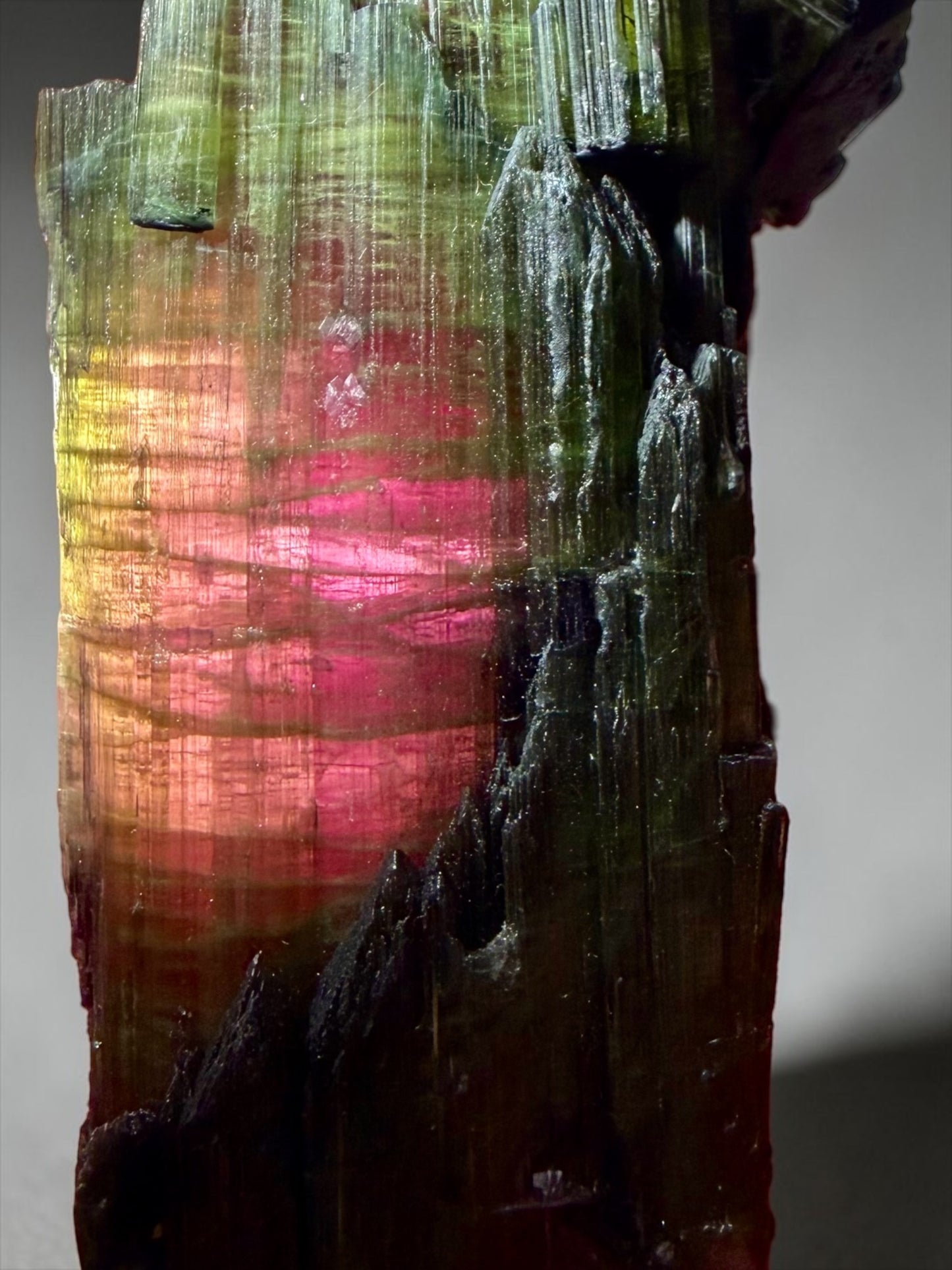 Large Double-Terminated Watermelon Tourmaline with Rare Flattened Growth- K.C.S.D. Mine, California | River Walkers Minerals