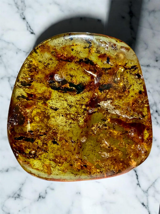 Amber With Plant Matter- Colombia | River Walkers Minerals