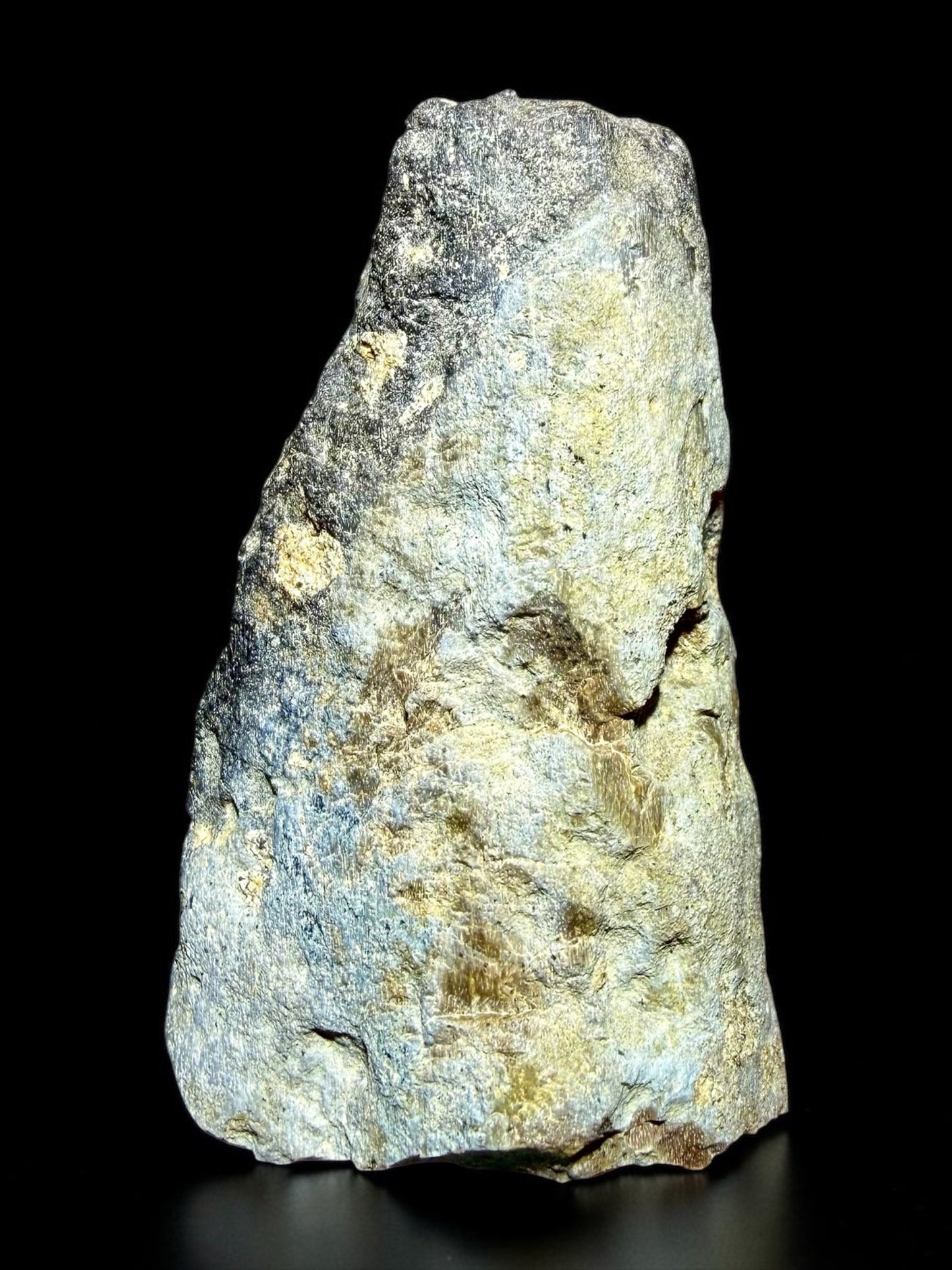 Camarasaurus Femur Fragment with Bite Marks- Morrison Formation | River Walkers Minerals