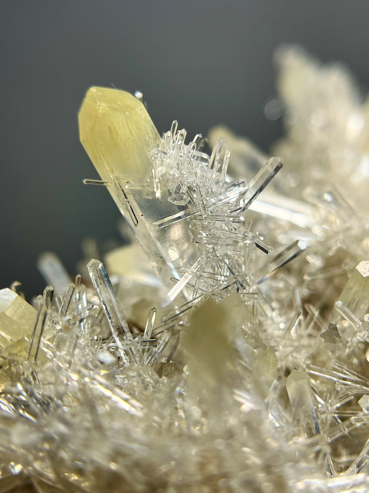 Mango Quartz Needle Cluster *Self-Standing!