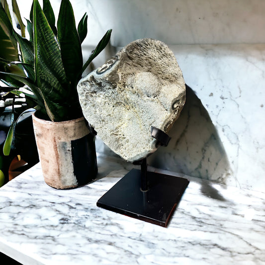 White Jasper Stalactites with Pyrite