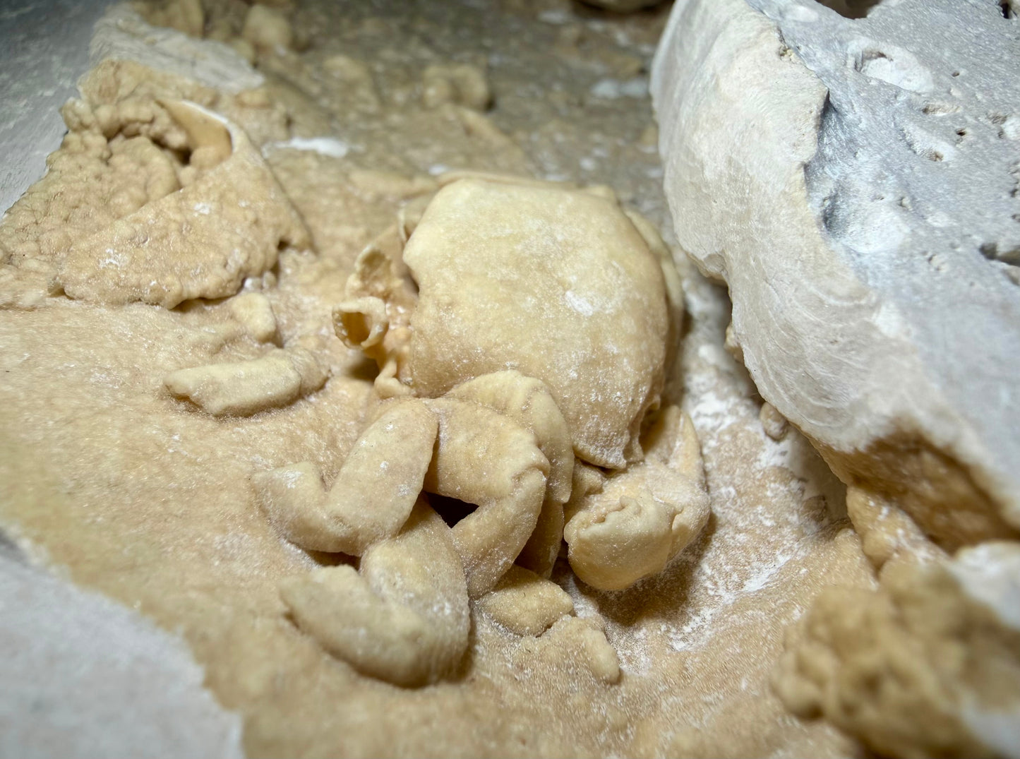 Close-up of Potamon crab fossil showing carapace and limb segments surrounded by botryoidal travertine textures.