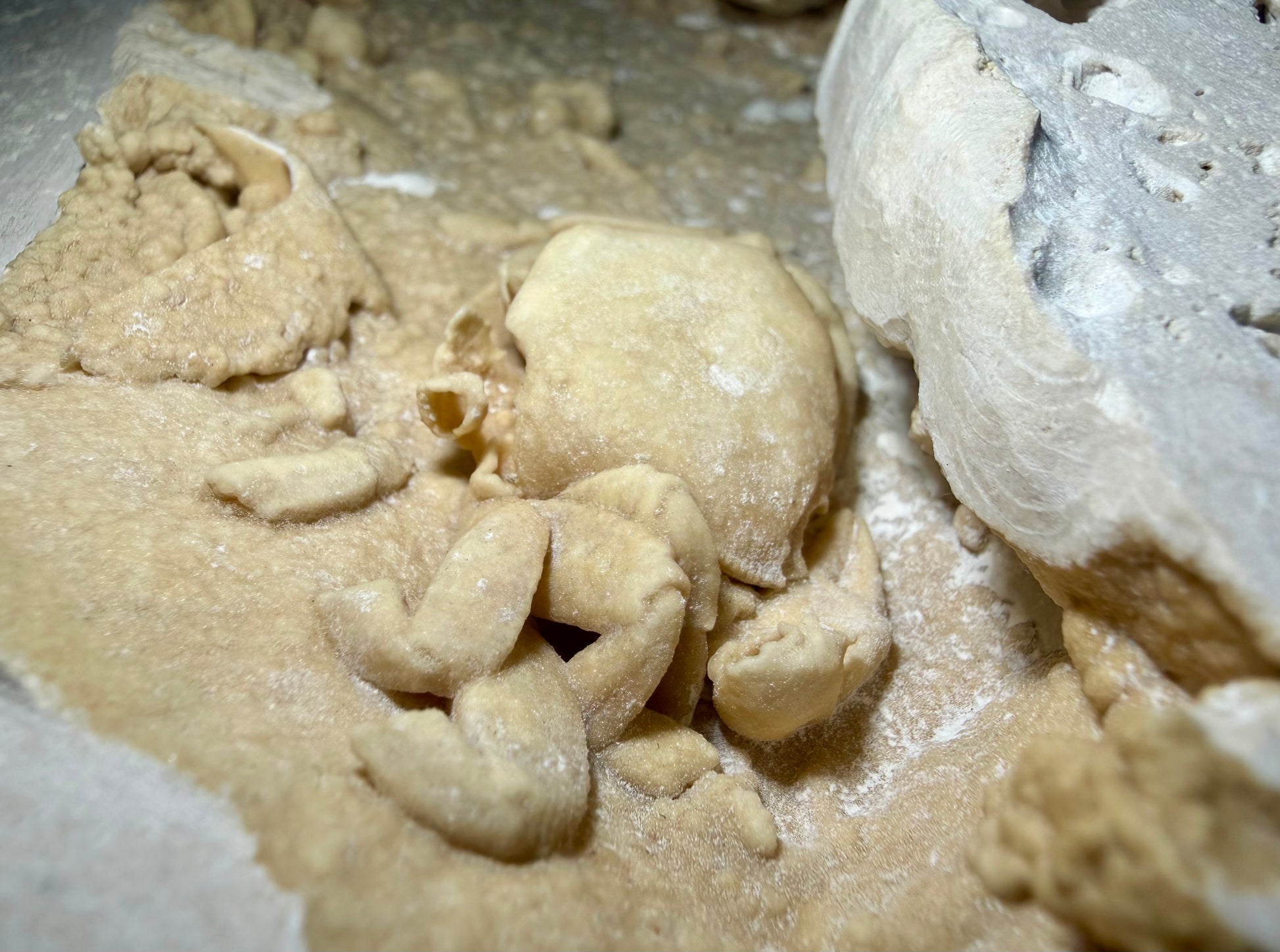 Close-up of Potamon crab fossil showing carapace and limb segments surrounded by botryoidal travertine textures.