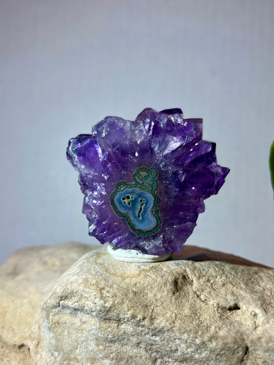 URUGUAY COLLECTION- Deep Amethyst Stalactite Slice