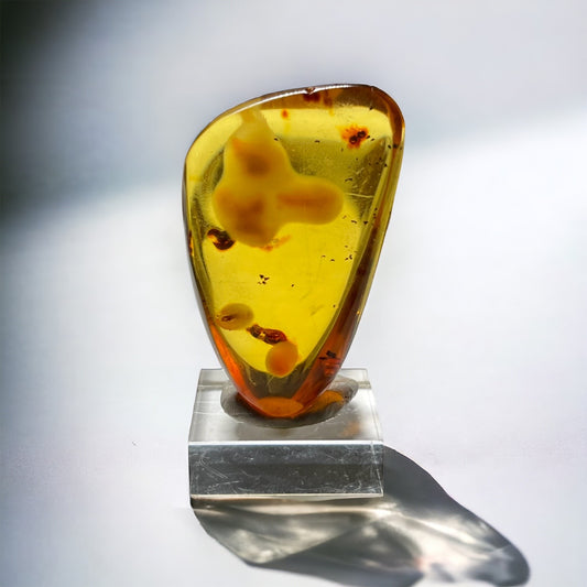 Colombian Amber with Insects (E)