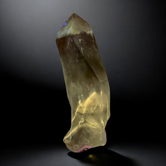 Amethyst Root with UV Reactive Phantoms (Possible Powellite- Pending Lab Results) 8/18