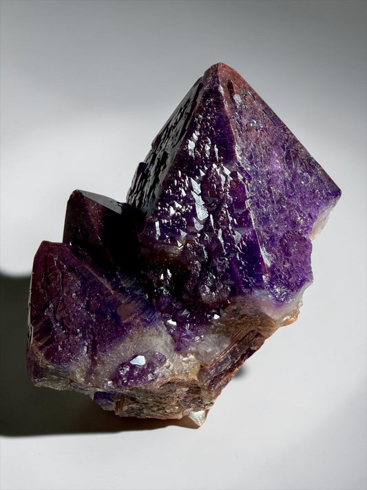 Large Elestial Amethyst- Hyderabad Forest | River Walkers Minerals