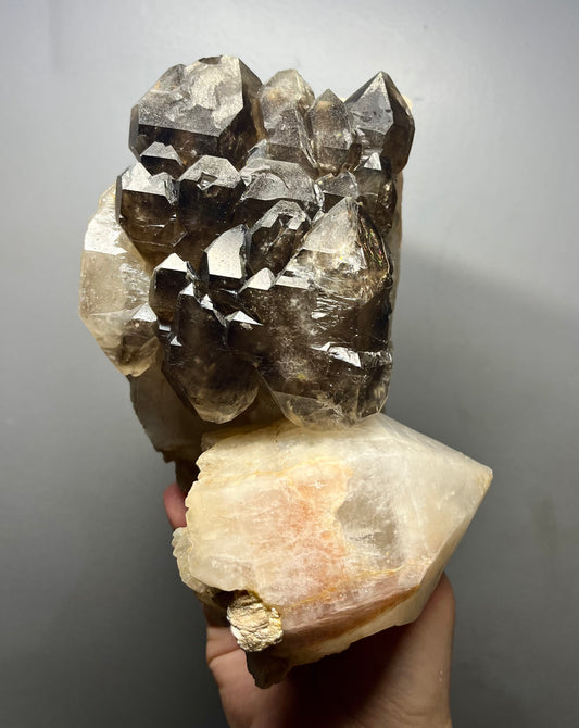 Smokey Elestial Quartz With Enhydros- Neu Schwabben Mine