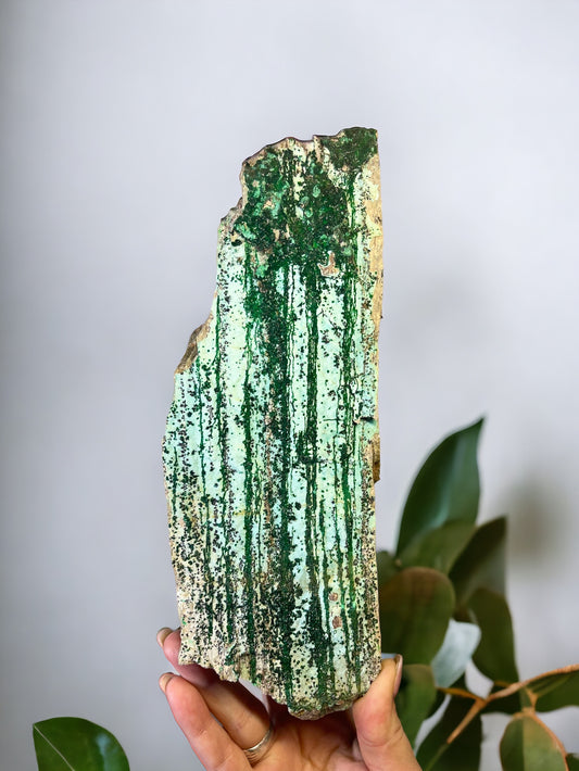 XL Druzy Chrysocolla x Malachite