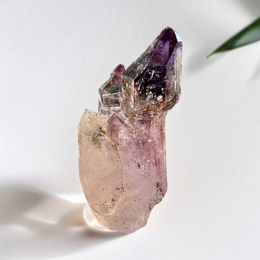 𝐓𝐡𝐞 𝐀𝐦𝐞𝐭𝐡𝐲𝐬𝐭 𝐀𝐫𝐜𝐡𝐢𝐯𝐞 | Shangaan Scepter Amethyst 2+ Enhydros