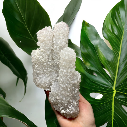 XL Ajanta Mountain Quartz Stalactite (C)