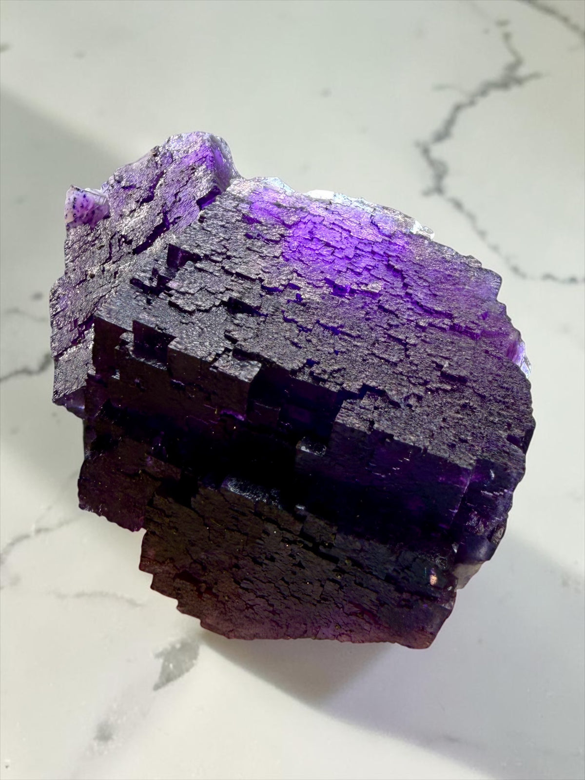 Epic Old Stock Illinois Fluorite x Chalcopyrite Ex. Walter Kellogg Collection- Denton Mine | River Walkers Minerals