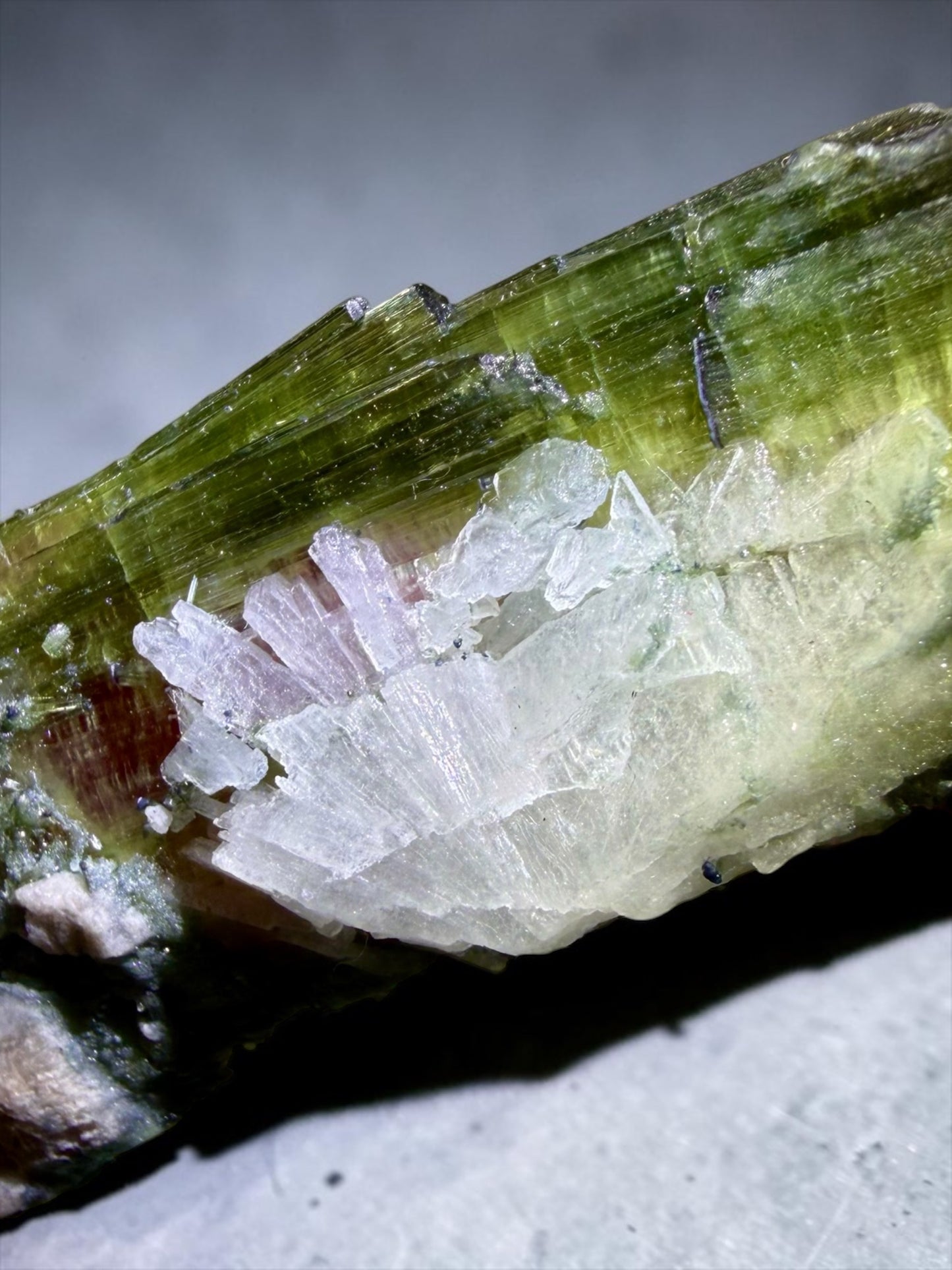 Large Double-Terminated Watermelon Tourmaline with Rare Flattened Growth- K.C.S.D. Mine, California | River Walkers Minerals