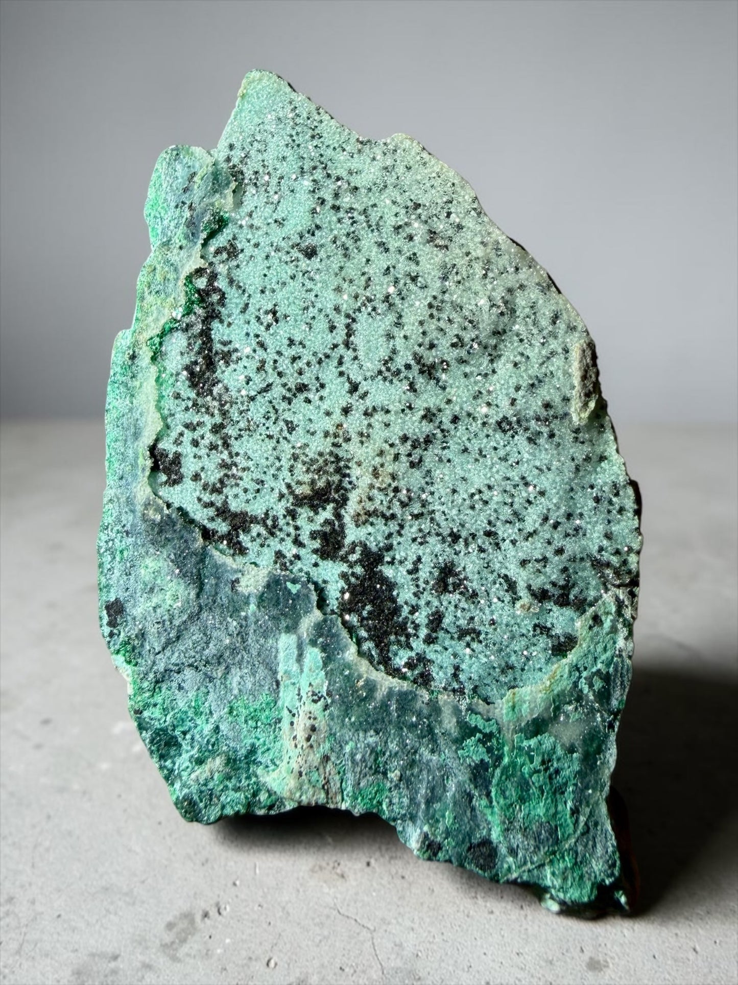 Druzy Chrysocolla x Malachite with Dendrites- D.R. Congo | River Walkers Minerals