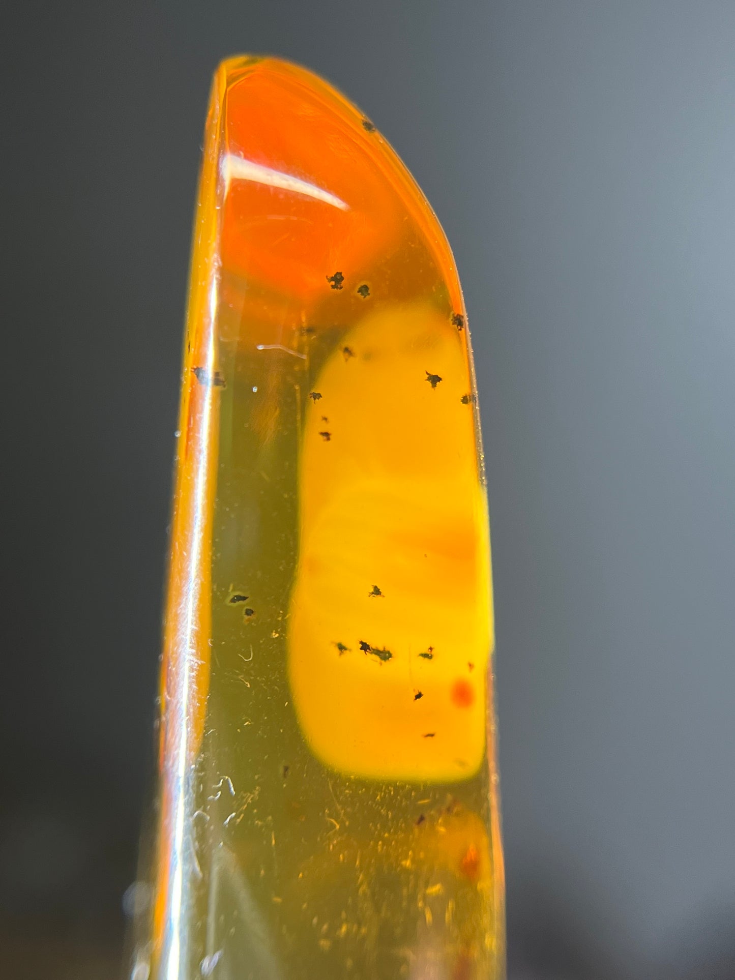 Colombian Amber with Insects (E)