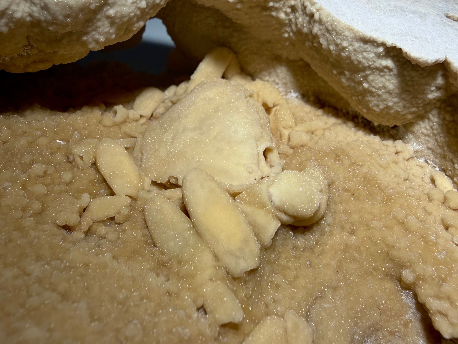 Side view of fossil crab partially sheltered beneath a natural travertine overhang, with botryoidal mineral textures.