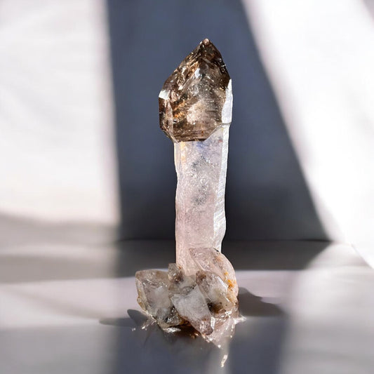𝐓𝐡𝐞 𝐀𝐦𝐞𝐭𝐡𝐲𝐬𝐭 𝐀𝐫𝐜𝐡𝐢𝐯𝐞 | Shangaan Amethyst Smoky Scepter