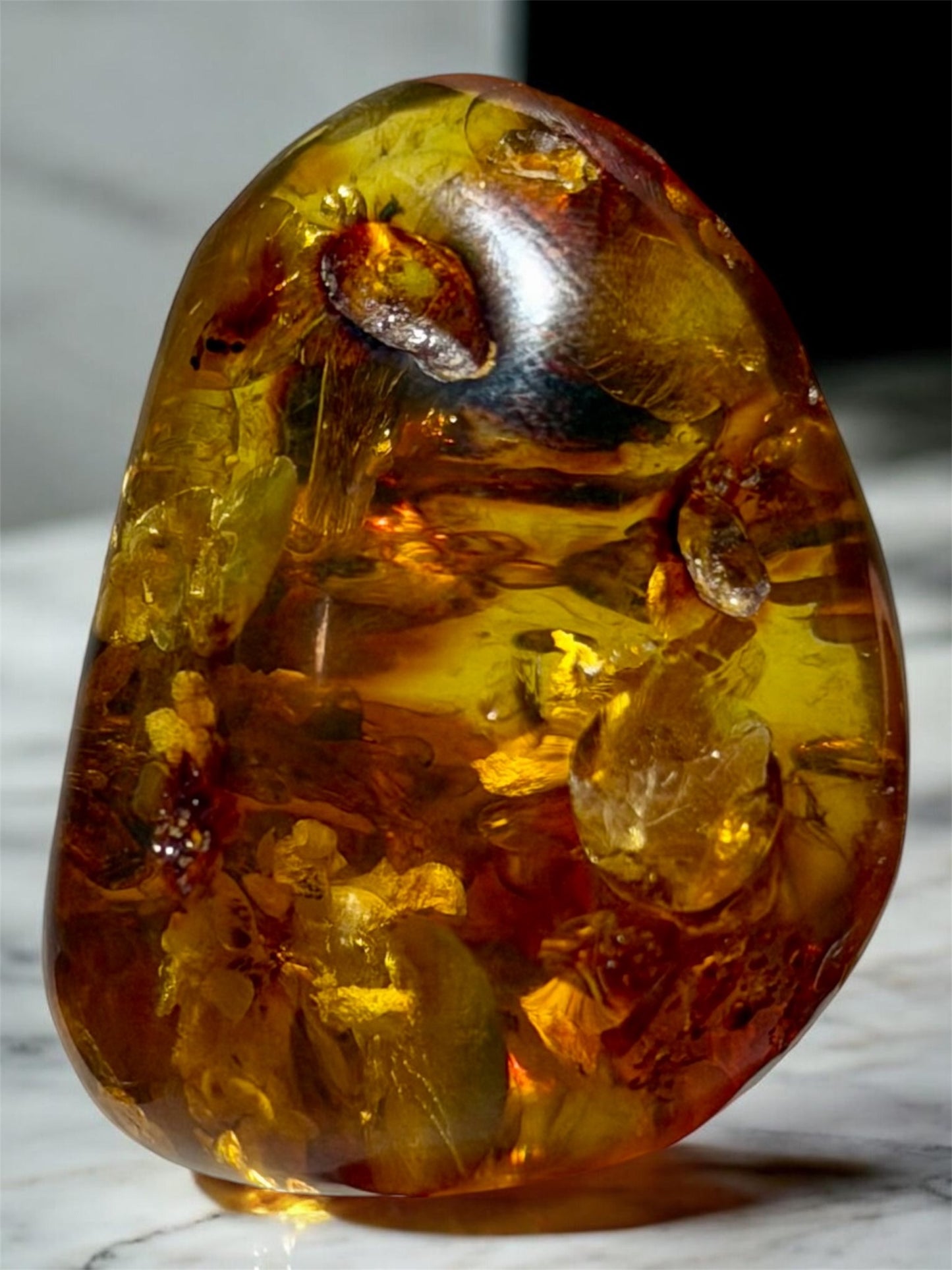 Amber With Insects- Colombia | River Walkers Minerals