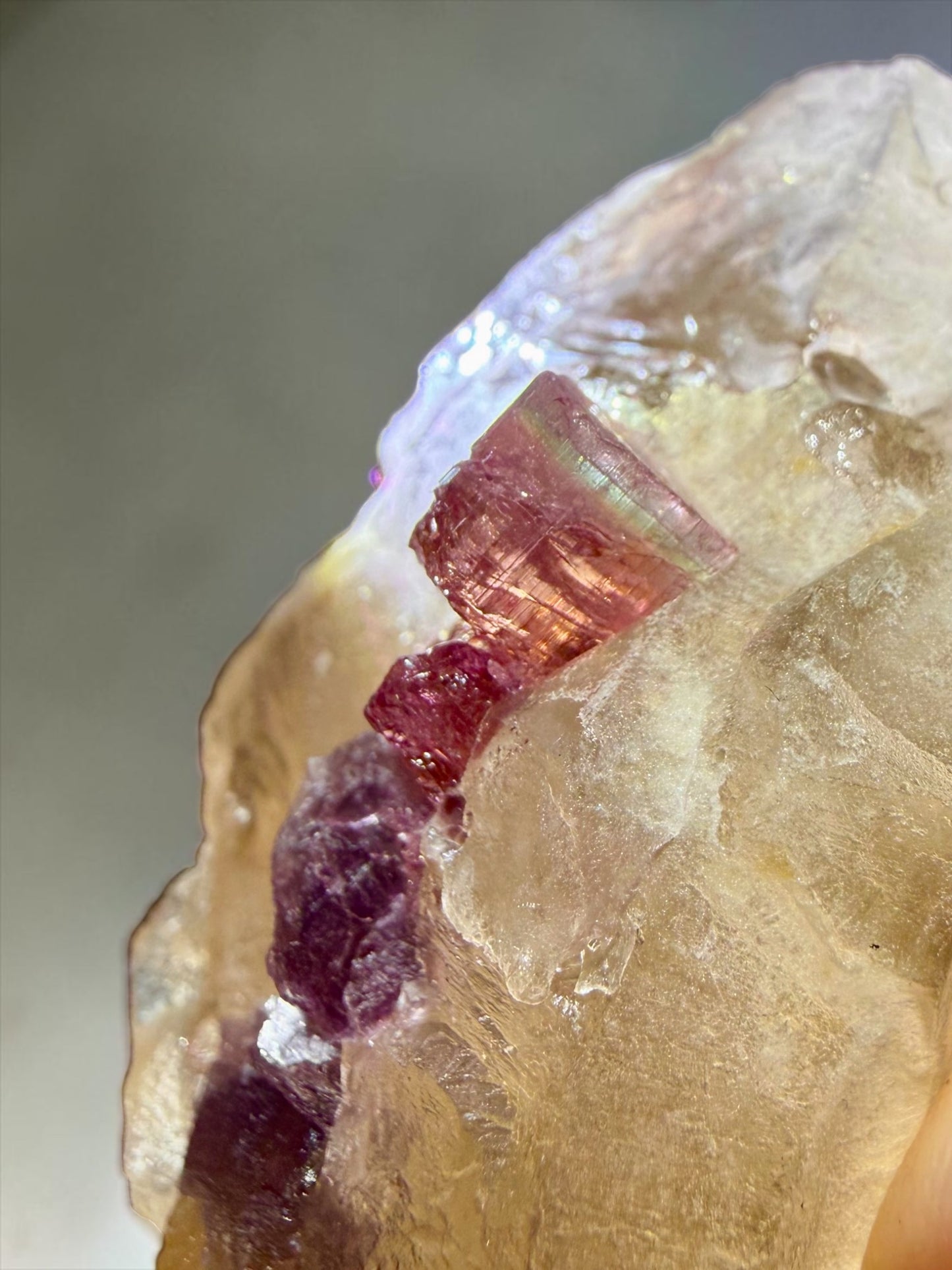 Citrine with Color-Zoned Rubellite Tourmaline- Minas Gerais | River Walkers Minerals