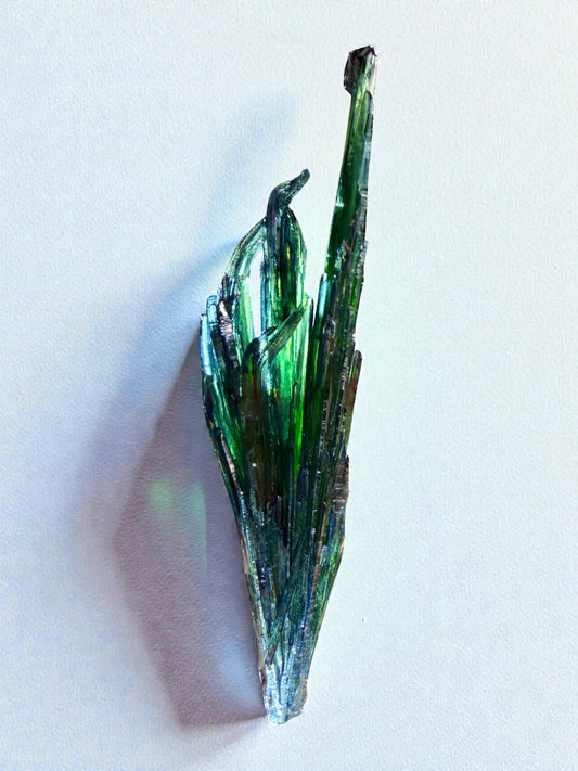 Double-terminated green vivianite crystal from Cabeça do Cachorro standing upright, showing vivid transparency and curved secondary blades.