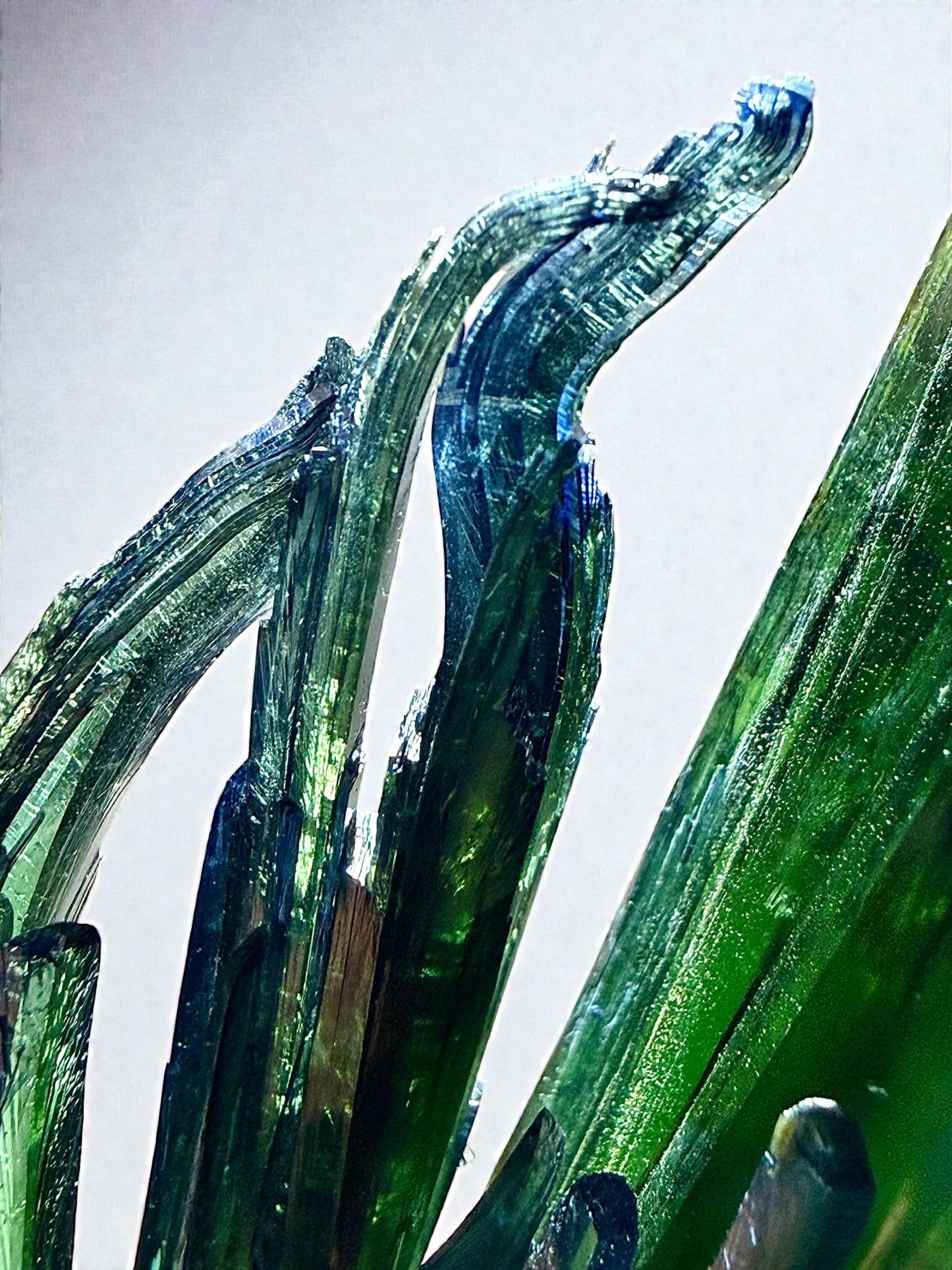 Macro shot of twisting vivianite blades with green transparency and metallic blue surface striations.